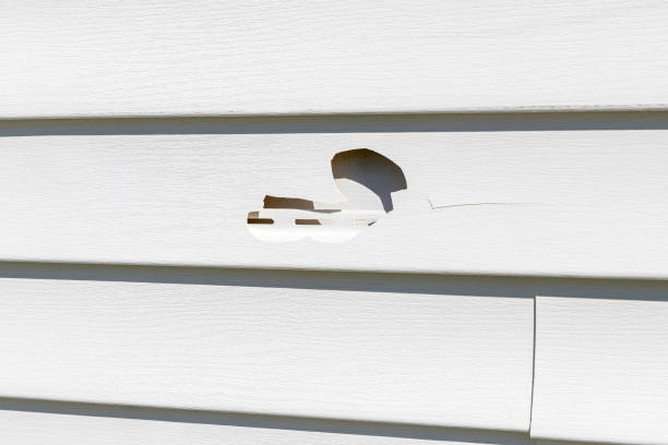Best Foreclosure Cleanout  in Bossier City, LA